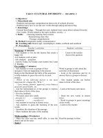 Giáo án Tiếng Anh 12 - Unit 2: Cultural diversity (Reading 1)