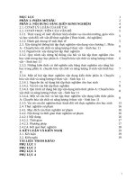 Xây dựng hệ thống bài tập thực nghiệm vận dụng vào chương i   phần a chuyển hóa vật chất và năng lượng ở thực vật   sinh học 11   THPT 