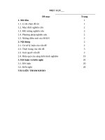 XÂY DỰNG CHUYÊN đề bồi DƯỠNG học SINH GIỎI THPT môn vật lý 11 PHẦN cảm ỨNG điện từ 