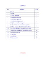 Một số giải pháp nâng cao việc dạy học mỹ thuật theo phương pháp đan mạch ở trường tiểu học bát mọt 1 