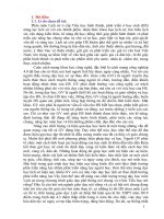 Giải pháp chỉ đạo giáo viên tiếp cận chương trình giáo dục phổ thông   2018 trong việc dạy học lịch sử ở tiểu học theo định hướng phát triển năng lực học sinh 