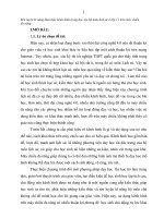 Rèn luyện kỹ năng khai thác kênh hình trong học tập bộ môn lịch sử ở lớp 11 trên máy chiếu đa năng ở trường THPT yên định 3 