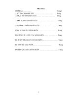 MỘT vài KINH NGHIỆM NHỎ TRONG QUÁ TRÌNH GIẢNG dạy học SINH KHỐI 12 ôn tập môn địa lý THI THPT đạt kết QUẢ CAO 