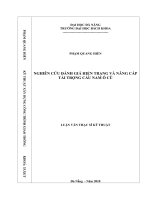 Nghiên cứu đánh giá hiện trạng và nâng cấp tải trọng cầu nam ô cũ 