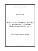 Nghiên Cứu Khả Năng Hấp Phụ Cr(VI), Ni(II) Của Than Chế Tạo Từ Thân Cây Sen Và Thử Nghiệm Xử Lý