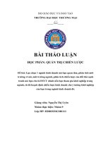 BÀI THẢO LUẬN HỌC PHẦN QUẢN TRỊ CHIẾN LƯỢC (Lựa chọn 1 ngành kinh doanh mà bạn quan tâm)