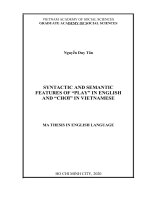 syntactic and semantic features of “play” in english and “chơi” in vietnamese 