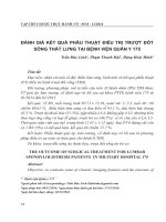 Đánh giá kết quả phẫu thuật điều trị trượt đốt sống thắt lưng tại Bệnh viện Quân y 175