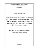 Sử dụng sản phẩm tự tạo bằng những vật liệu sẵn có trong tự nhiên nhằm phát huy khả năng sáng tạo cho trẻ 5 6 tuổi tại trường mầm non tích sơn   thành phố vĩnh yên   tỉnh vĩnh phúc 