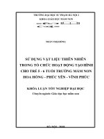 Sử dụng các vật liệu thiên nhiên trong tổ chức hoạt động tạo hình cho trẻ 5   6 tuổi trường mầm non hoa hồng 