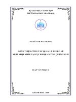 Hoàn thiện công tác quản lý rủi ro về xuất nhập khẩu tại cục hải quan tỉnh quảng ngãi  