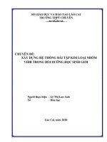 Xây dựng hệ thống bài tập kim loại nhóm VIIIB trong bồi dưỡng học sinh giỏi