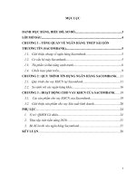 tiểu luận tín dụng ngân hàng tìm hiểu về hoạt động tín dụng ngân hàng sài gòn thương tín sacombank 