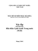 MẪU HỒ SƠ MỜI THẦU HÀI HÒA (DÀNH CHO CÁC DỰ ÁN DO ADB/WB TÀI TRỢ) XÂY LẮP DƯỚI HÌNH THỨC ĐẤU THẦU CẠNH TRANH TRONG NƯỚC(NCB)