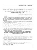 Nghiên cứu đặc điểm lâm sàng và tình trạng tiền đái tháo đường ở bệnh nhân tăng huyết áp nguyên phát tại Bệnh viện Quân y 120