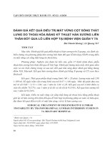 Đánh giá kết quả điều trị mất vững cột sống thắt lưng do thoái hóa bằng kỹ thuật hàn xương liên thân đốt qua lỗ liên hợp tại Bệnh viện Quân y 7A