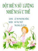Bài giảng Sinh học 12: Đột biến số lượng nhiễm sắc thể