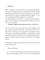 ảnh hưởng của hiệp định evfta đến ngành nhập khẩu ô tô của việt nam 