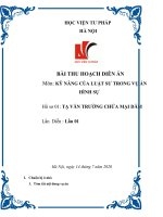 Dien an hinh su ho so 01 ta van truong chua mai dam