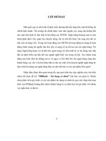 tiểu luận tín dụng ngân hàng hoạt động tín dụng và phân tích báo cáo tài chính của hdbank 