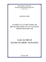Tác động của cấu trúc sở hữu tới hiệu quả hoạt động của các ngân hàng thương mại ở việt nam 