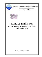 TÀI LIỆU PHIÊN HỌP ĐẠI HỘI ĐỒNG CỔ ĐÔNG THƯỜNG NIÊN NĂM 2019