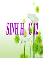 Bài giảng Sinh học 12 - Bài 35: Môi trường và các nhân tố sinh thái