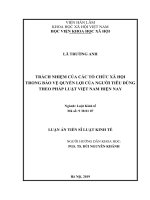 Trách nhiệm của các tổ chức xã hội trong bảo vệ quyền lợi của người tiêu dùng theo pháp luật việt nam hiện nay