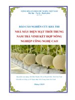 BÁO CÁO NGHIÊN CỨU KHẢ THI NHÀ MÁY ĐIỆN MẶT TRỜI TRUNG NAM TRÀ VINH KẾT HỢP NÔNG NGHIỆP CÔNG NGHỆ CAO