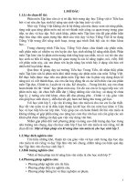 SKKN một số biện pháp rèn kĩ năng làm văn miêu tả cho học sinh lớp 5b 