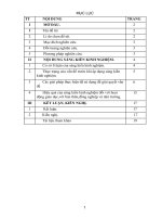 SKKN một số biện pháp dạy kỹ năng sống cho trẻ 5 6 tuổi 