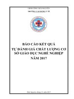 BÁO CÁO KẾT QUẢ TỰ ĐÁNH GIÁ CHẤT LƯỢNG CƠ SỞ GIÁO DỤC NGHỀ NGHIỆP NĂM 2017