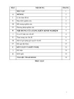 SKKN một số biện pháp rèn kỹ năng sống cho học sinh lớp 4b thông qua các môn học và hoạt động ngoài giờ lên lớp 