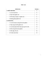 SKKN một vài kinh nghiệm đẩy mạnh chất lượng dạy và học trong trường tiểu học 