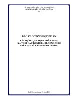BÁO CÁO TỔNG HỢP ĐỀ ÁN XÂY DỰNG QUY ĐỊNH PHÂN VÙNG XẢ THẢI CÁC KÊNH RẠCH, SÔNG SUỐI TRÊN ĐỊA BÀN TỈNH BÌNH DƯƠNG
