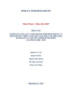 BÁO CÁO ĐÁNH GIÁ NĂNG LỰC CẠNH TRANH TỈNH BÌNH PHƯỚC VÀ ĐỊNH HƯỚNG CHIẾN LƯỢC ĐẾN NĂM 2030, TẦM NHÌN 2045, KẾ HOẠCH VÀ CHƯƠNG TRÌNH HÀNH ĐỘNG GIAI ĐOẠN 2020 - 2025
