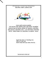 Xây dựng hệ thống bài tập trắc nghiệm khách quan bằng hình vẽ trong chương halogen, chương oxi lưu huỳnh, chương nitơ photpho và chương cacbon silic  