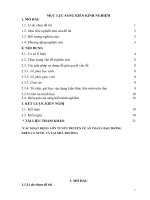 SKKN vận dụng kiến thức liên môn trong dạy học tiết 23,24  thực hiện trật tự an toàn giao thông  GDCD6 