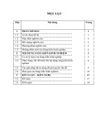 SKKN vận dụng sơ đồ tư duy trong dạy học mĩ thuật lớp 6 