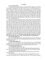 SKKN tích hợp nôi dung giáo dục KNS vào hoạt động giáo dục đạo đức lớp 5 cho HS trường TH thiệu khánh  