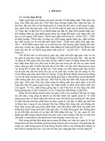 SKKN xây dựng bộ tiêu chí đánh giá xếp loại chuyên môn giáo viên góp phần nâng cao chất lượng giáo dục trường tiểu học điền lư 1 