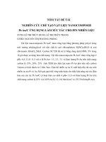 nghiên cứu chế tạo vật liệu nanocomposite PT-AU/C ứng dụng làm xúc tác cho pin nhiên liệu