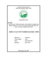 Áp dụng quy trình chăm sóc, nuôi dưỡng và phòng trị bệnh cho đàn gà lông màu nuôi tại trại liên kết với công ty japfa comfeed việt nam 