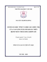Tóm tắt luận án Tiến sĩ Y học: Đánh giá độc tính và hiệu quả điều trị của cao lỏng Ích Gối Khang trên bệnh nhân thoái hóa khớp gối