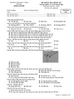ĐỀ ÔN TẬP CƠ SỞ LÝ THUYẾT HÀN  ĐÁP ÁN CUỐI TRANG