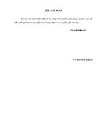 Luận án Tiến sĩ Kinh tế: Tái cấu trúc tài chính các doanh nghiệp vận tải biển niêm yết ở Việt Nam