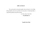 Luận văn Thạc sĩ Quản trị kinh doanh: Nâng cao chất lượng công tác kiểm tra của UBND huyện đối với các cơ sở sản xuất, kinh doanh trên địa bàn huyện Tam Đường, tỉnh Lai Châu