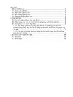 SKKN tích hợp giáo dục môi trường trong giảng dạy chủ đề sử dụng và sản xuất phân bón công nghệ lớp 10 THPT 