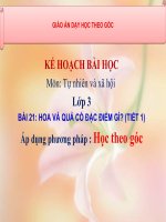 Bài giang theo góc môn Tự nhiên và xã hội lớp 3, Bài 21: Hoa và quả có đặc điểm gì? ( tiết 1)  VNEN
