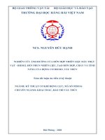 Tóm tắt Luận án tiến sĩ Kỹ thuật: Nghiên cứu ảnh hưởng của hỗn hợp nhiên liệu dầu thực vật – diesel đến phun nhiên liệu, tạo hỗn hợp, cháy và tính năng của động cơ diesel tàu thủy
